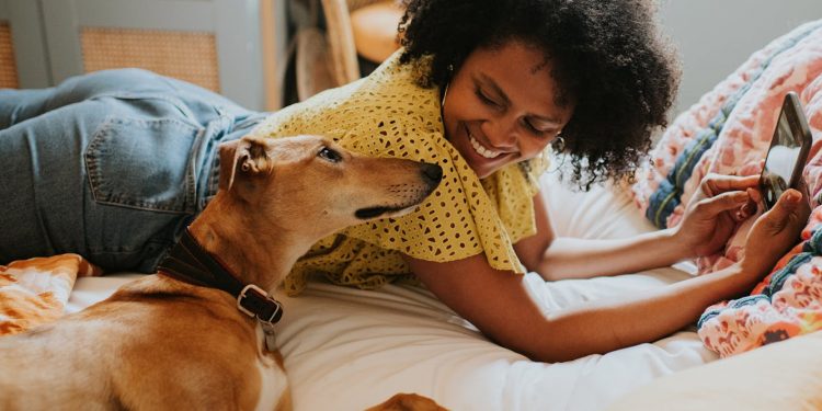 Diane Keaton’s $5M pet trust would be over the top if reports prove true – here’s how to ensure your beloved pet is safe after you are gone