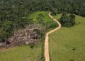 A bold new investment fund aims to channel billions into tropical forest protection – one key change can make it better