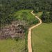 A bold new investment fund aims to channel billions into tropical forest protection – one key change can make it better