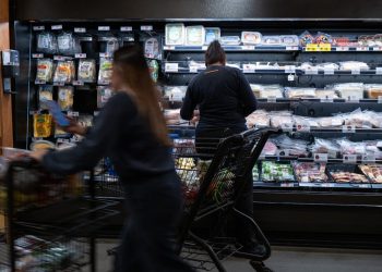 SNAP benefits have been cut and disrupted – causing more kids to go without enough healthy food and harming child development