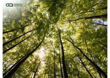 Credo Assurance Earns ESG Certification to Support Sustainability Reporting