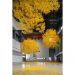 The 15th Shanghai Biennale Opens – Does the flower hear the bee?