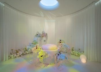 The Team Behind Casket Fairprice Launches Everpet, a Pet Funeral Company in Singapore