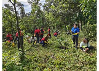 Jollibee Group Earns BBB MSCI ESG Rating, Reinforcing Global Sustainability Performance