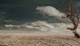 Call to include climate adaptation in budgets