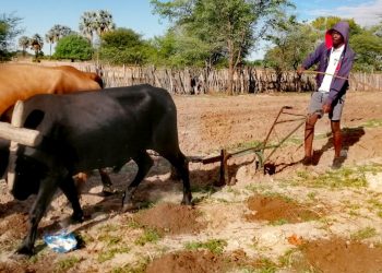 African land policy reforms have been good for women and communities – but review of 18 countries shows major gaps