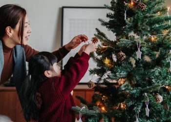 Christmas trees are more expensive than ever in Colorado — what gives?