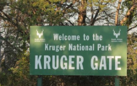 Kruger National Park implements gate quotas to avoid overcrowding